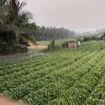 Radz Home Stay