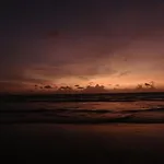 Gokarna Ocean Tree
