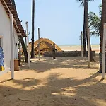 Absolute Paradise