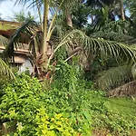 Pranjal Guest House