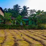 Dream Way Home Stay