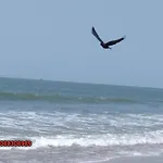 Arundekar Home Stay In Beach Side Ac Room