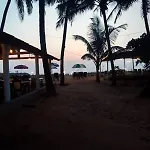 Absolute Paradise