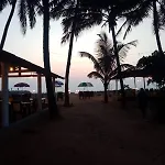 Absolute Paradise