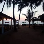 Absolute Paradise