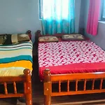 Dolphin Beach Stay