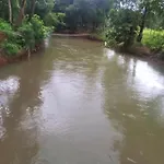 Yashovana Nature Stay Gokarna
