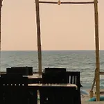Golden Shack