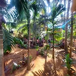 Areca Nest