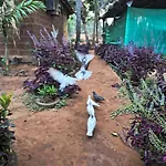 River Breeze Cottage Gokarna