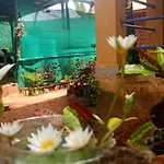 River Breeze Cottage Gokarna