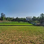 Sea Spray Resort