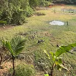 Hostelexp, Gokarna - A Slow-Paced Backpackers Community