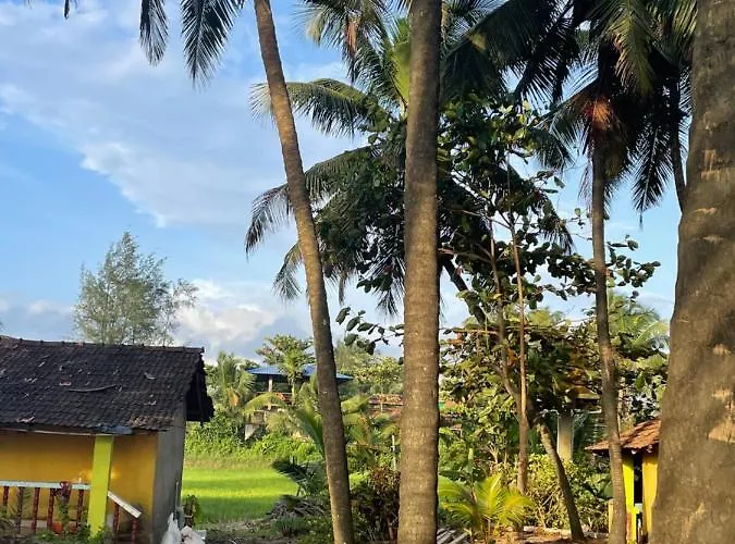Absolute Paradise Hostels