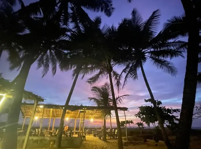 Absolute Paradise