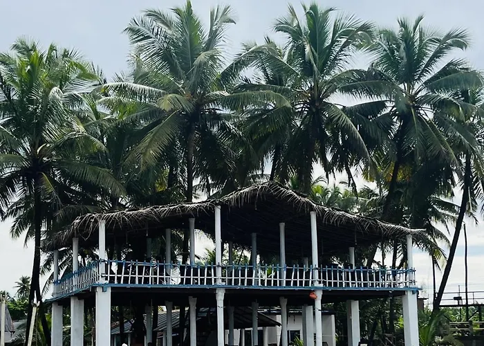 Absolute Paradise