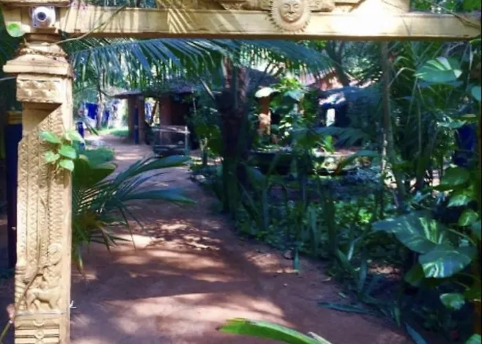 Nirvana Nature
