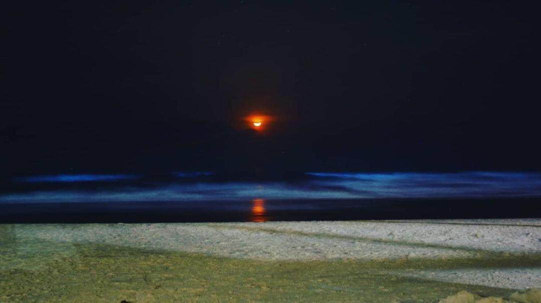 Trippr Gokarna - Hostel *