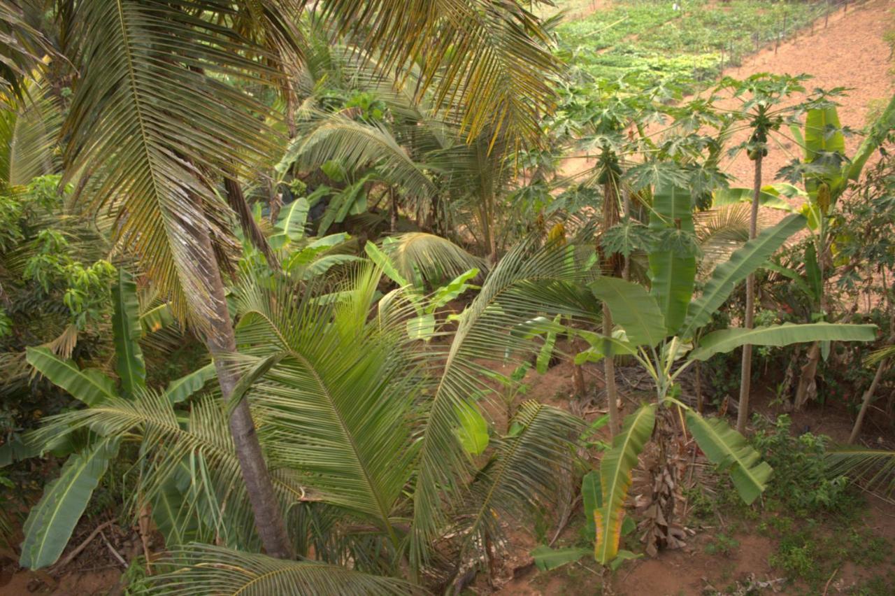Homestay Surya Gokarna (Karnataka)