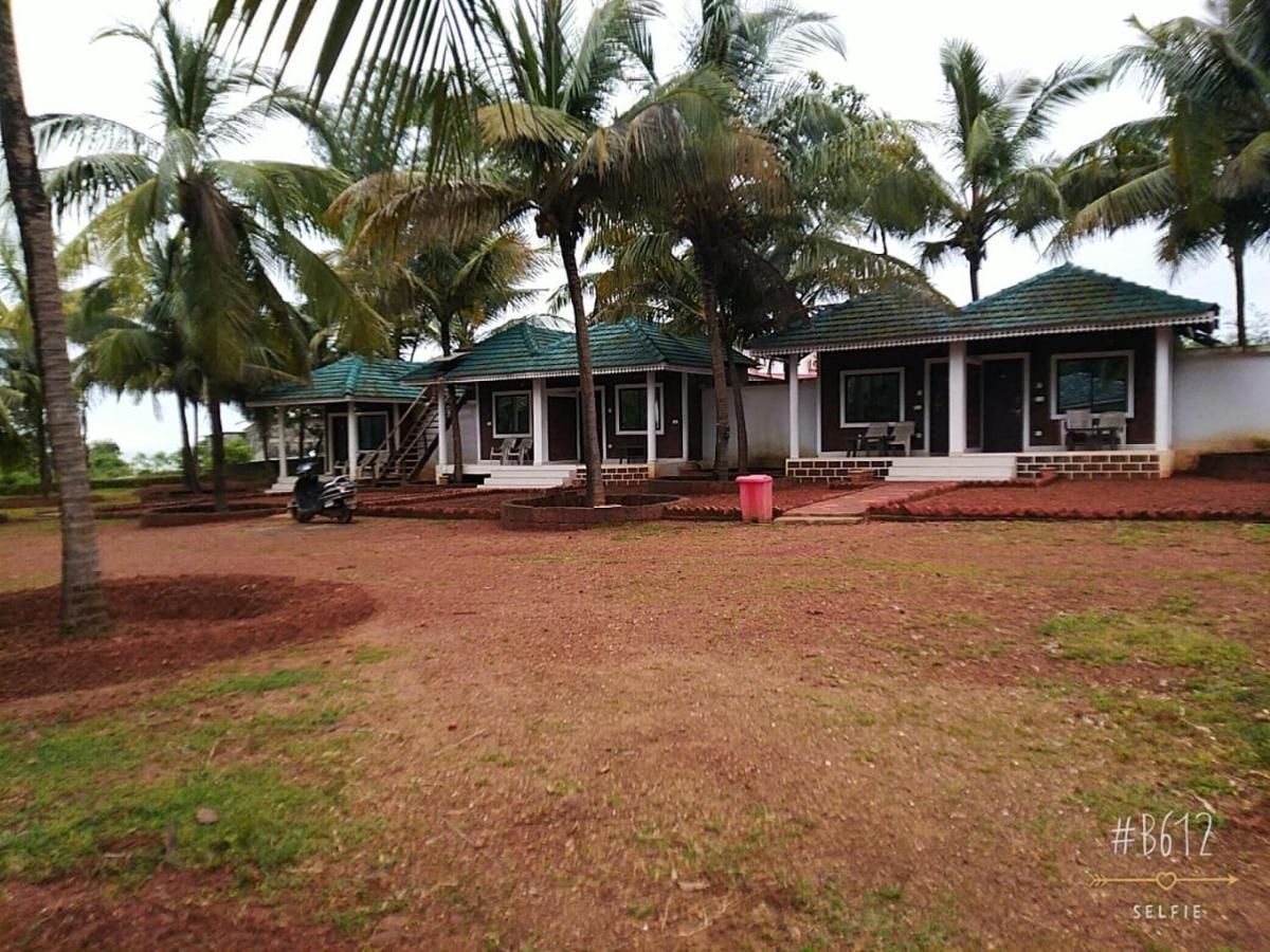 Coconut Tree Gokarna * Gokarna (Karnataka)