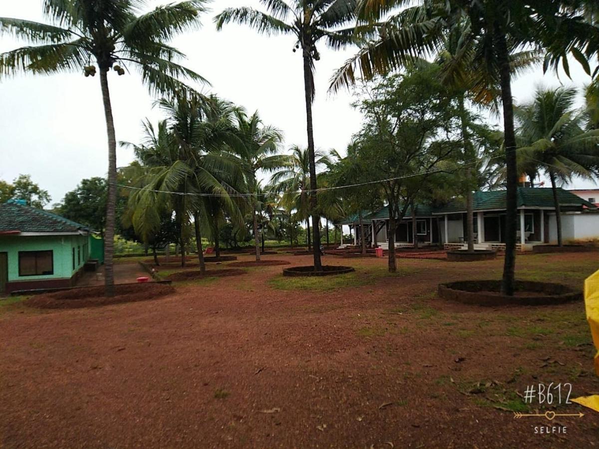 Resort Coconut Tree Gokarna