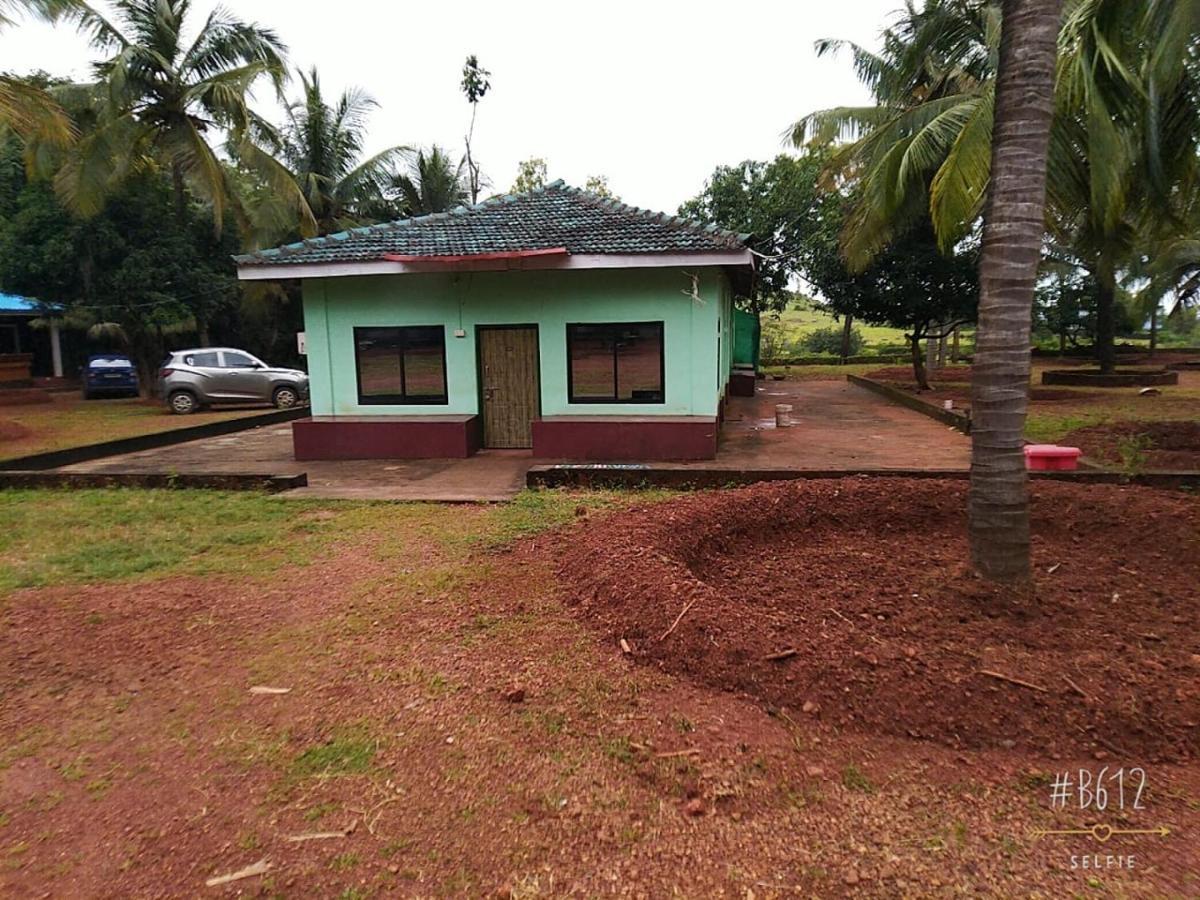 Coconut Tree Gokarna Gokarna (Karnataka)