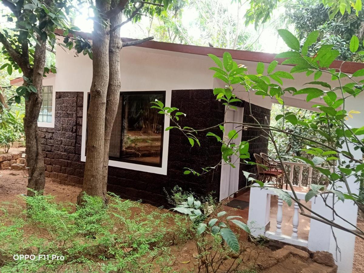 Holiday home Namaste Yoga Farm Gokarna (Karnataka)