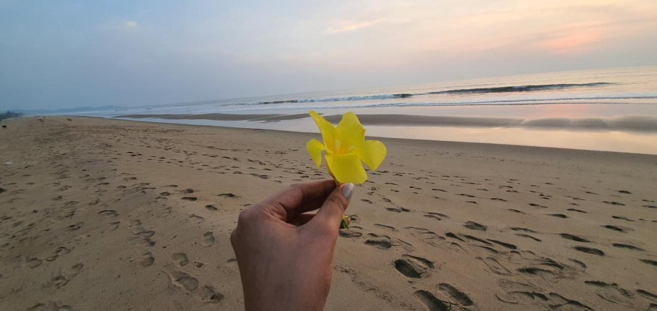 Blue Lagoon Resort Gokarna (Karnataka)
