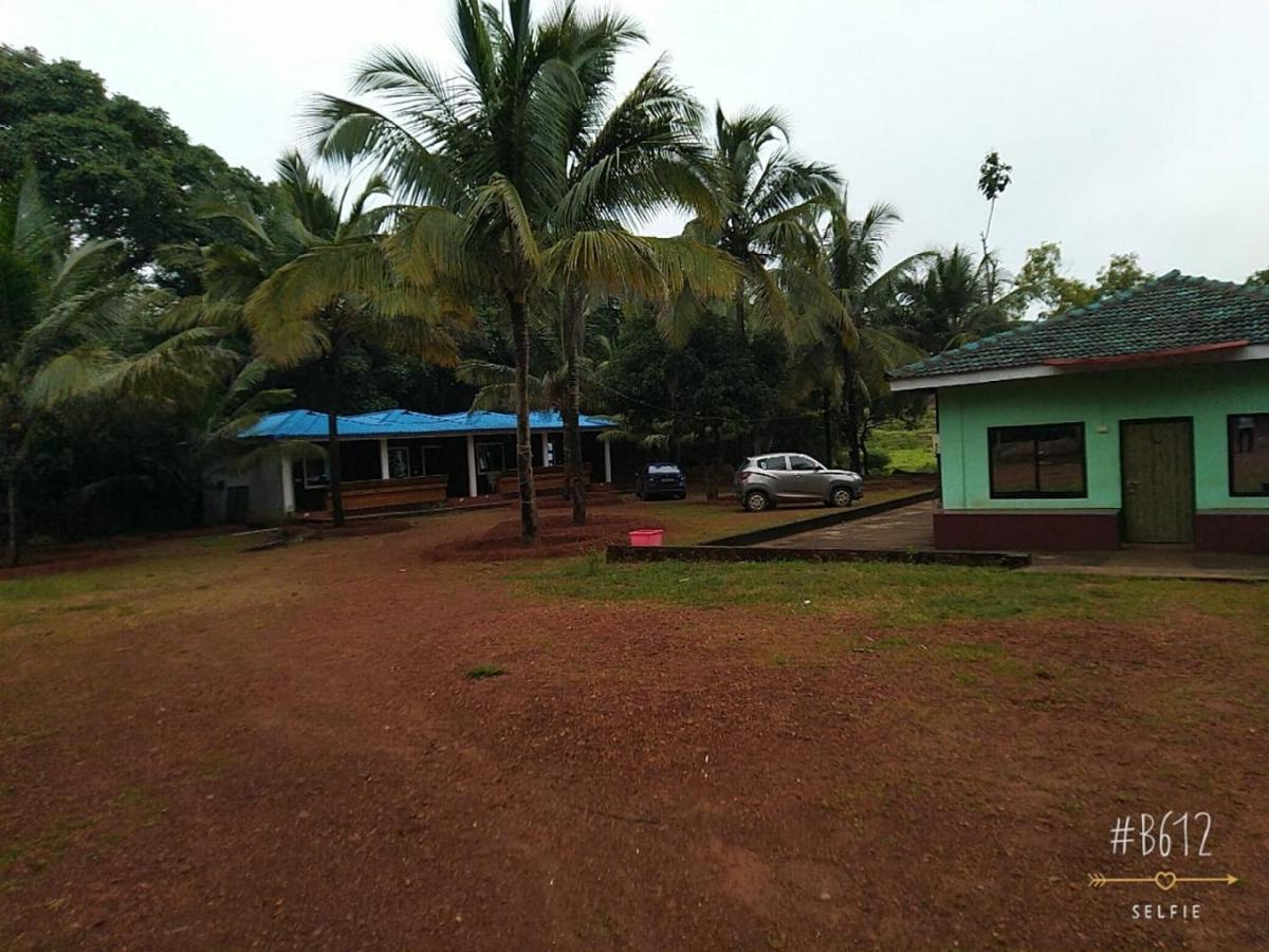 Coconut Tree Gokarna *