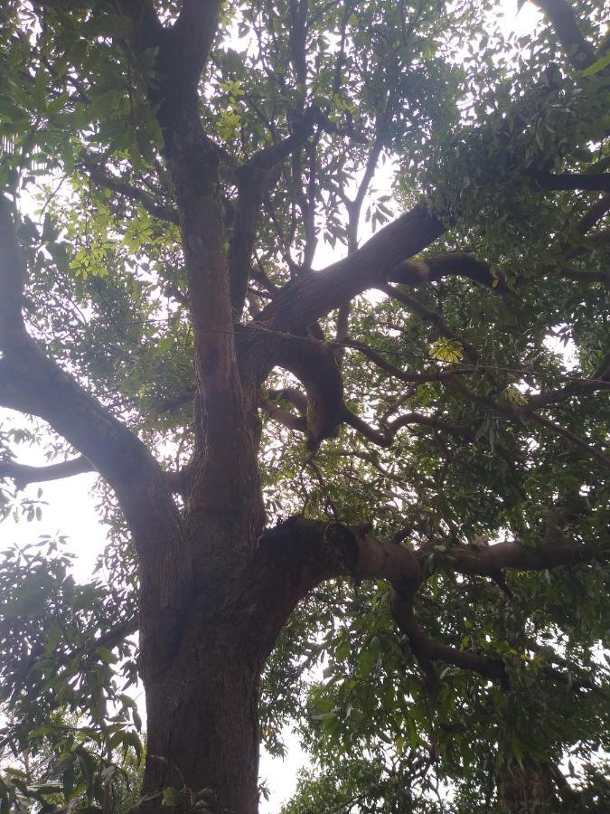 Gundappa Cafe Gokarna Kudle Hotel *