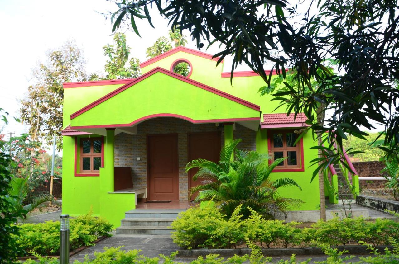 Staymaker Sunny's Serenity Gokarna (Karnataka)