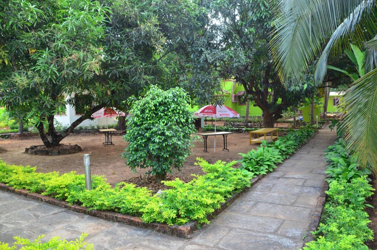 Staymaker Sunny's Serenity Gokarna (Karnataka)