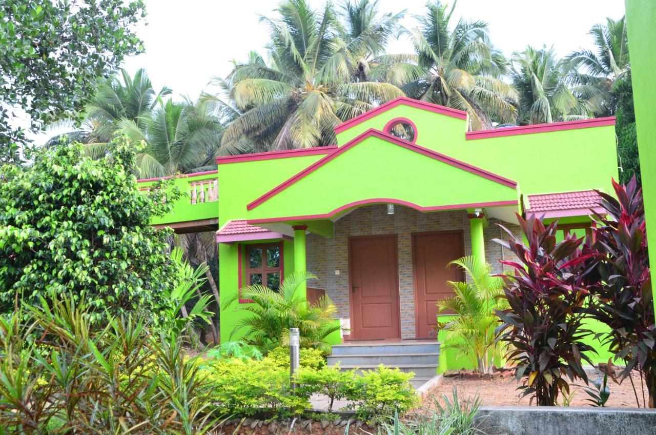 Staymaker Sunny's Serenity Gokarna (Karnataka)