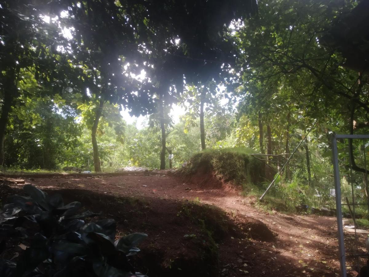 Guest house Greenland Ac And Non Ac Room,senior Citizen Not Allowed, Gokarna (Karnataka)