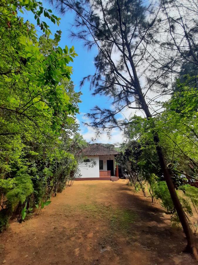 Tusker Tribe Hostel *