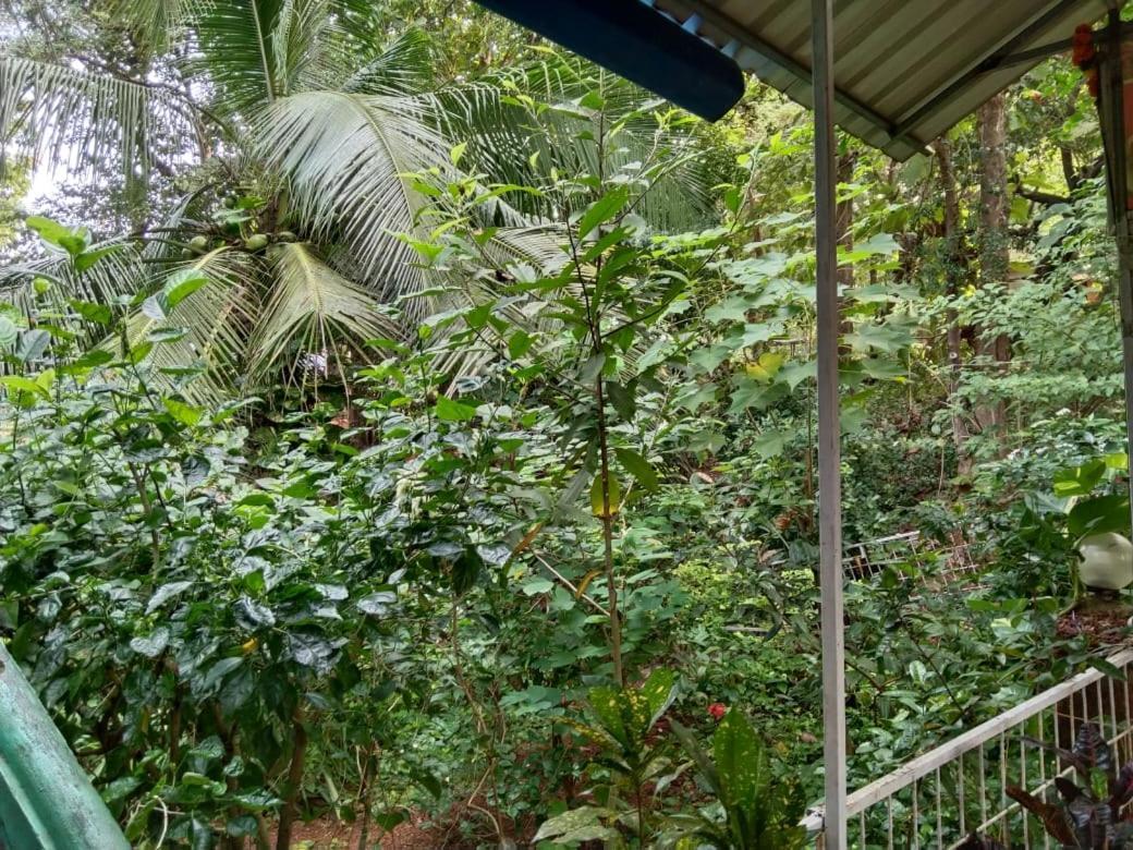 Greenland Ac And Non Ac Room,senior Citizen Not Allowed, Guest house Gokarna (Karnataka)