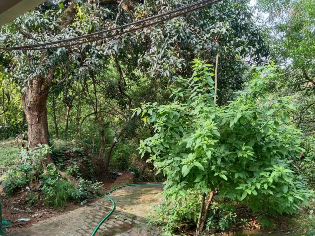 Greenland Ac And Non Ac Room,senior Citizen Not Allowed, Guest house Gokarna (Karnataka)