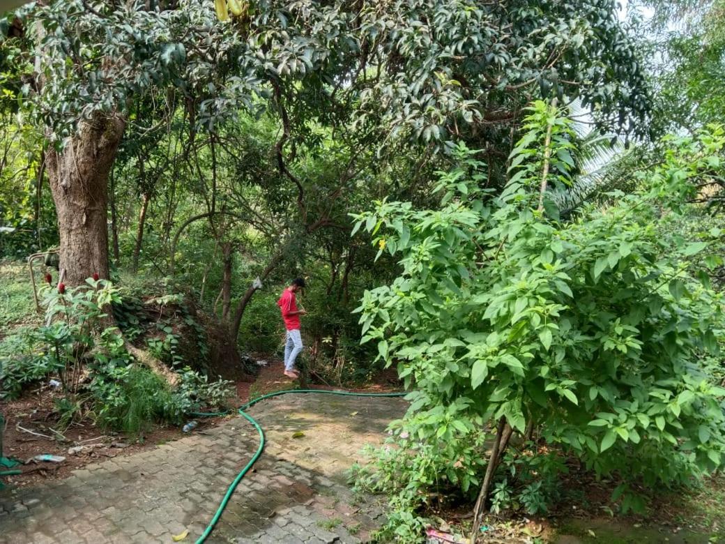 Greenland Ac And Non Ac Room,senior Citizen Not Allowed, Guest house Gokarna (Karnataka)