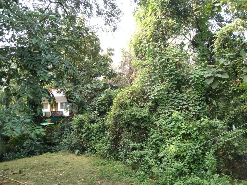 Guest house Greenland Ac And Non Ac Room,senior Citizen Not Allowed, *