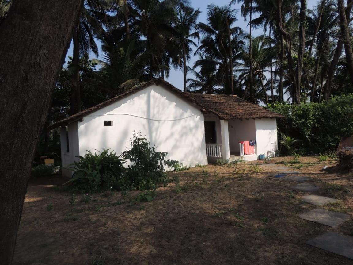 Guest house Shiva Ganga Cafe Gokarna (Karnataka)