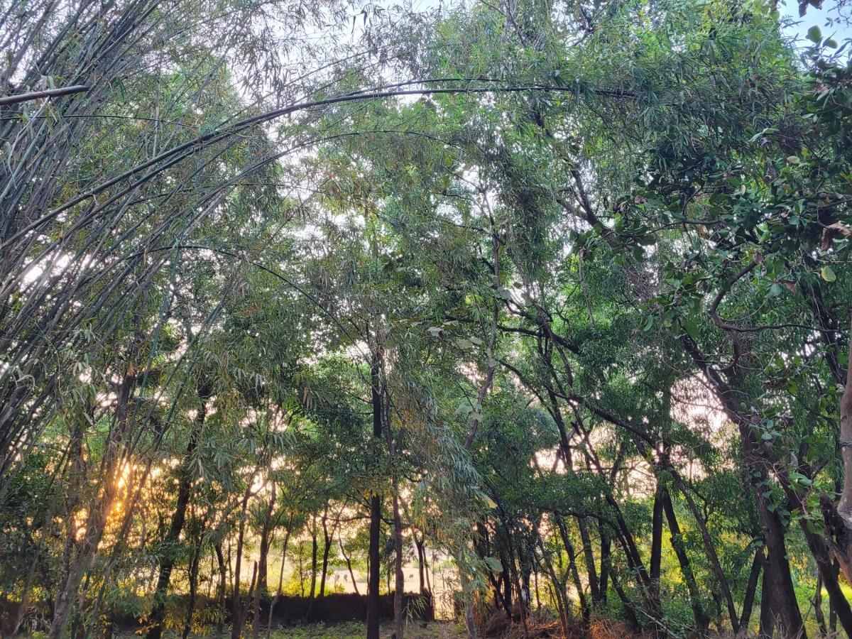 Sunny'S Paradise Gokarna (Karnataka)
