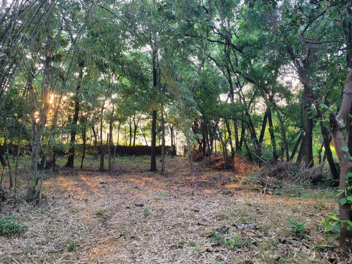 Sunny'S Paradise Gokarna (Karnataka)