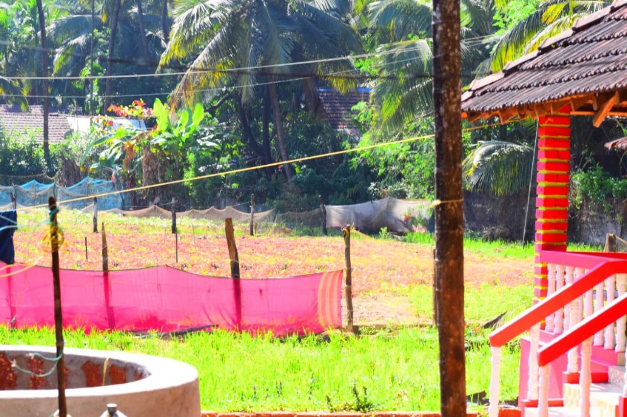 Guest house Gokarna Ocean Pearl Guest House