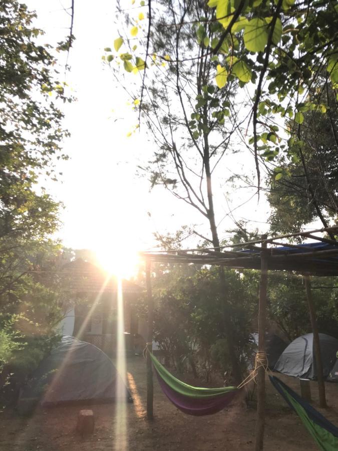Hostel Tusker Tribe
