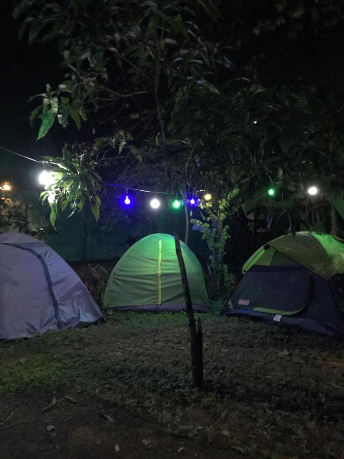 Hostel Tusker Tribe