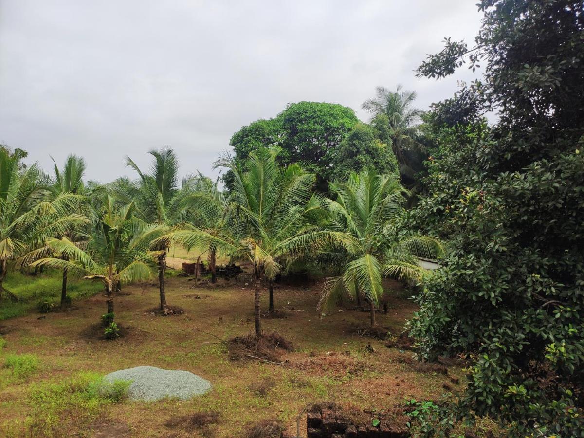 Sunny'S Paradise * Gokarna (Karnataka)