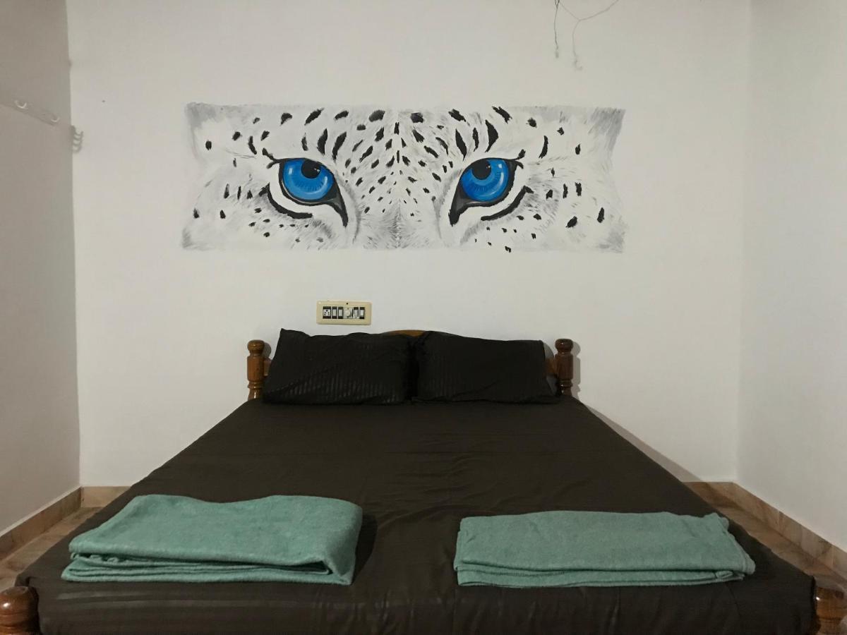Tusker Tribe Hostel Gokarna (Karnataka)