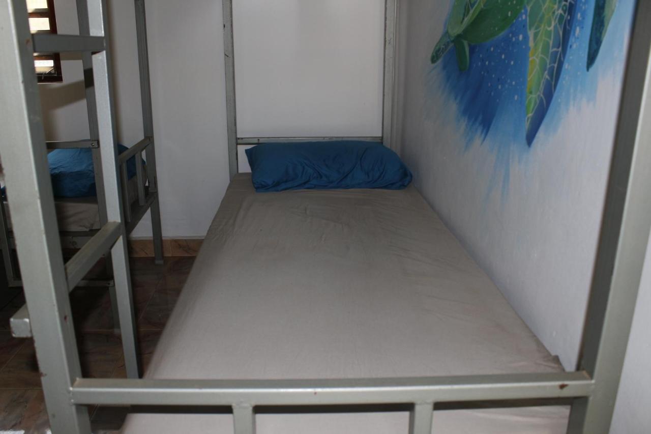 Hostel Tusker Tribe