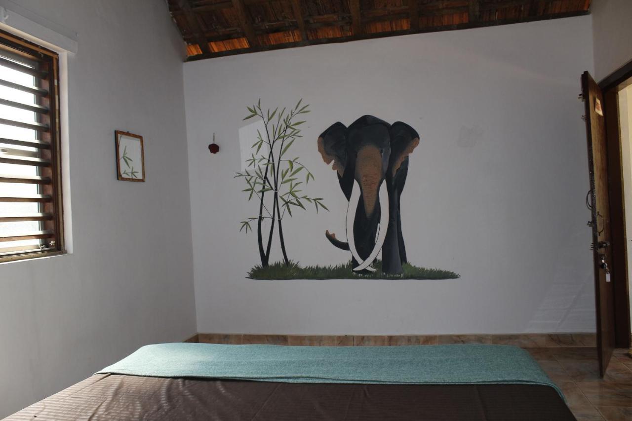 Hostel Tusker Tribe