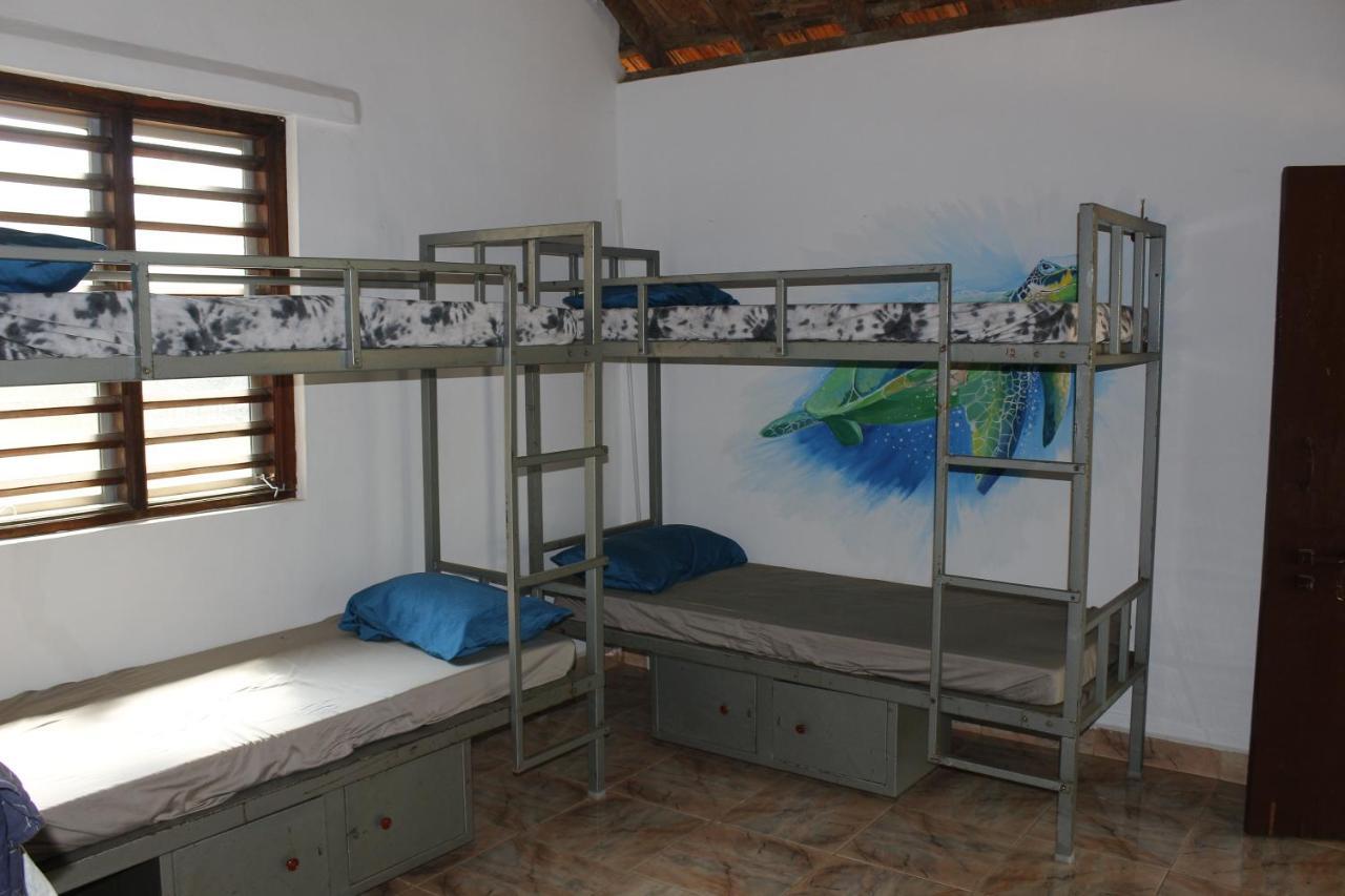 Hostel Tusker Tribe *